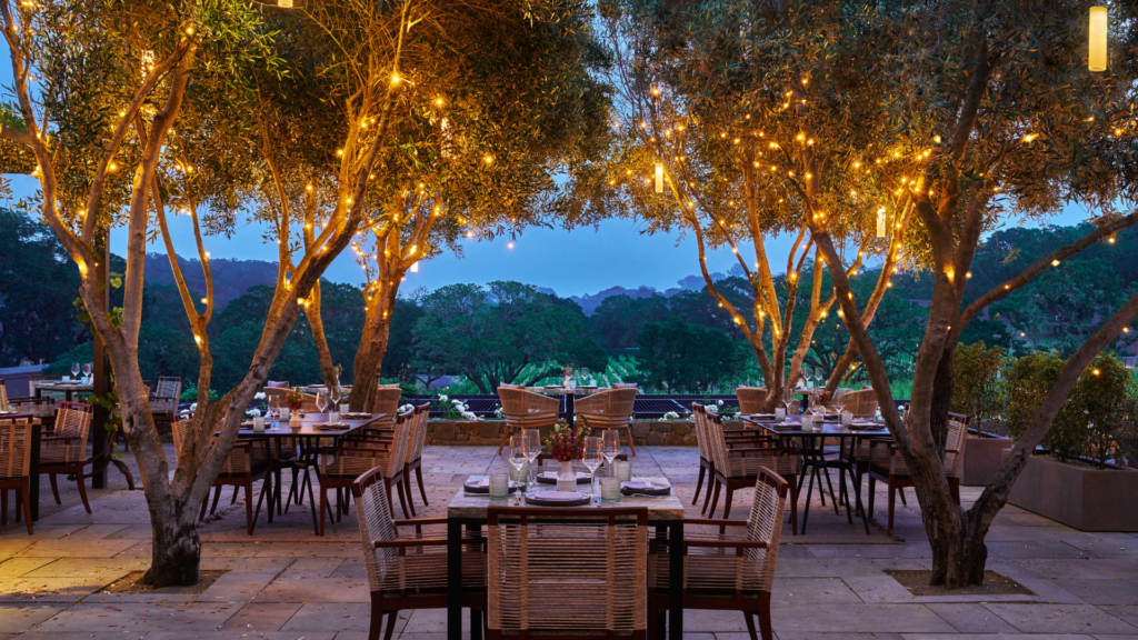 Hazel Hill Olive Terrace at Twilight. Olive trees covered in bistro lighting and looking out over vineyard and trees.