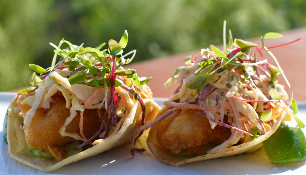 Rooftop Tacos - Petrale Sole, Chipotle Cabbage Slaw, Cilantro, Avocado Mousse