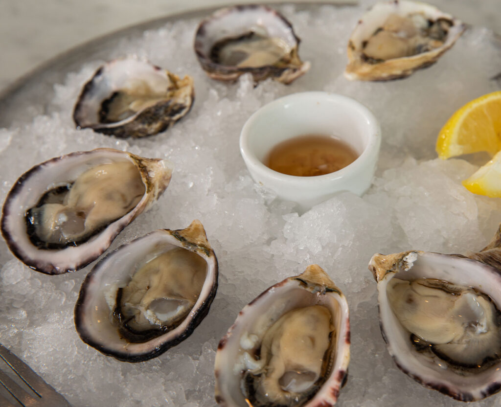 Oysters
